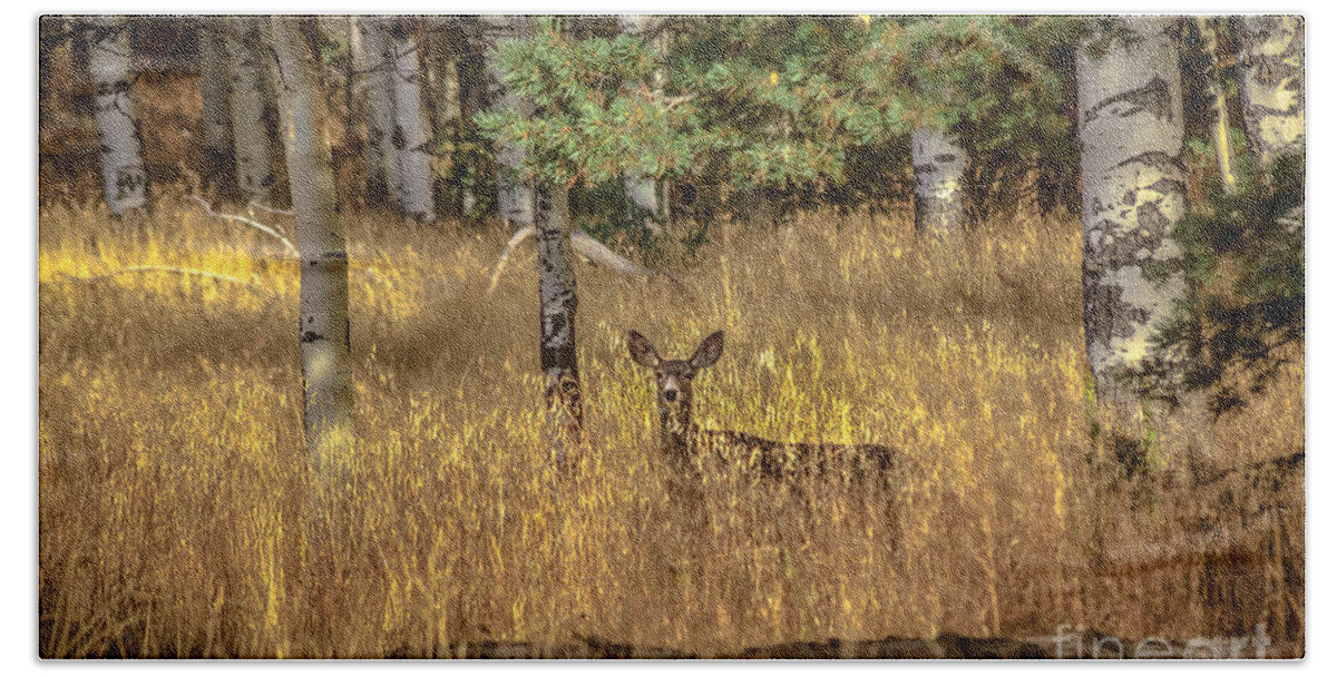Animal Nature Bath Towel featuring the photograph Mule Deer In The Aspens by Robert Bales