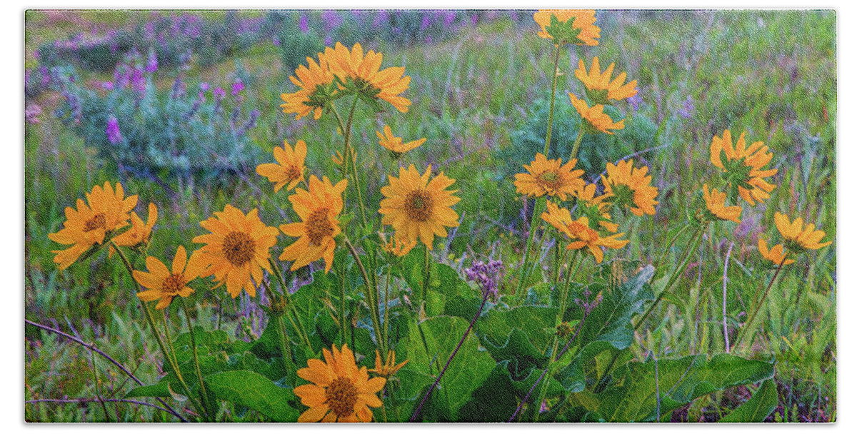 Landscape Hand Towel featuring the photograph Mule's Ear and Lupine by Marc Crumpler