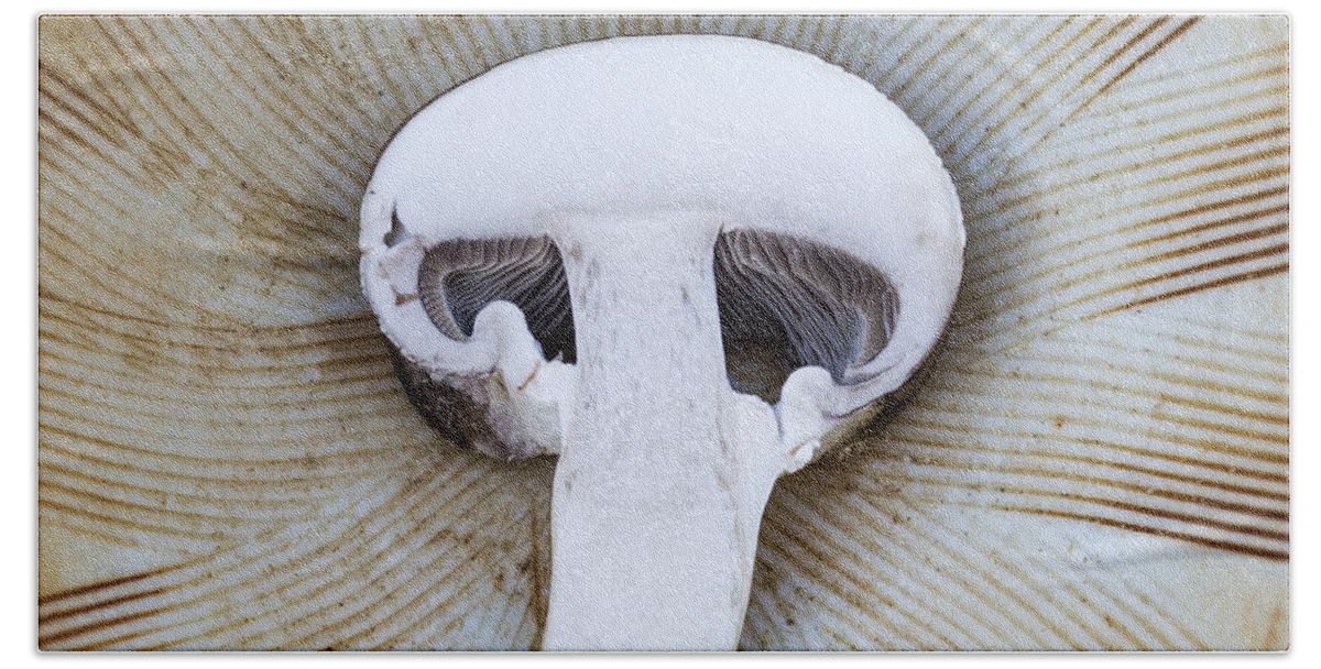 Mushroom Hand Towel featuring the photograph Mushroom in Suribachi by Shawn Jeffries