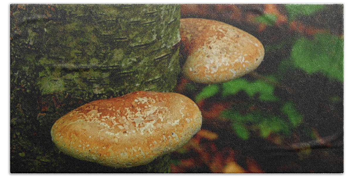 Appalachian Trail Connecticut Bath Towel featuring the photograph Mushroom Pair by Raymond Salani III