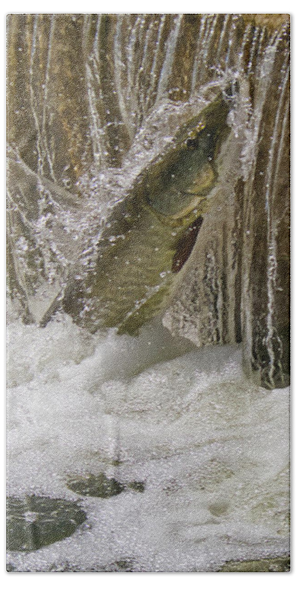 Muskie Hand Towel featuring the photograph Muskie 2 - Lake Wingra - Madison - Wisconsin by Steven Ralser