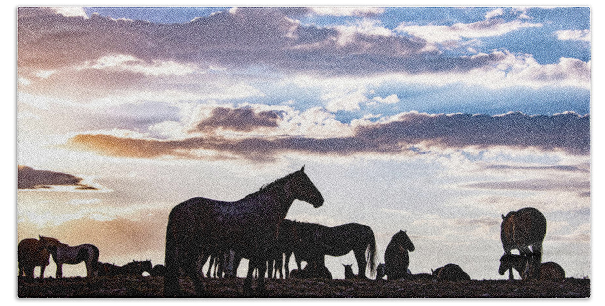 Wild Horse Wildlife Mustang Clouds Sunset Hand Towel featuring the photograph Mustang Clouds by Dirk Johnson