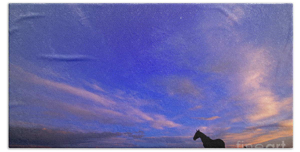 00340182 Bath Towel featuring the photograph Mustangs and Evening Sky by Yva Momatiuk John Eastcott