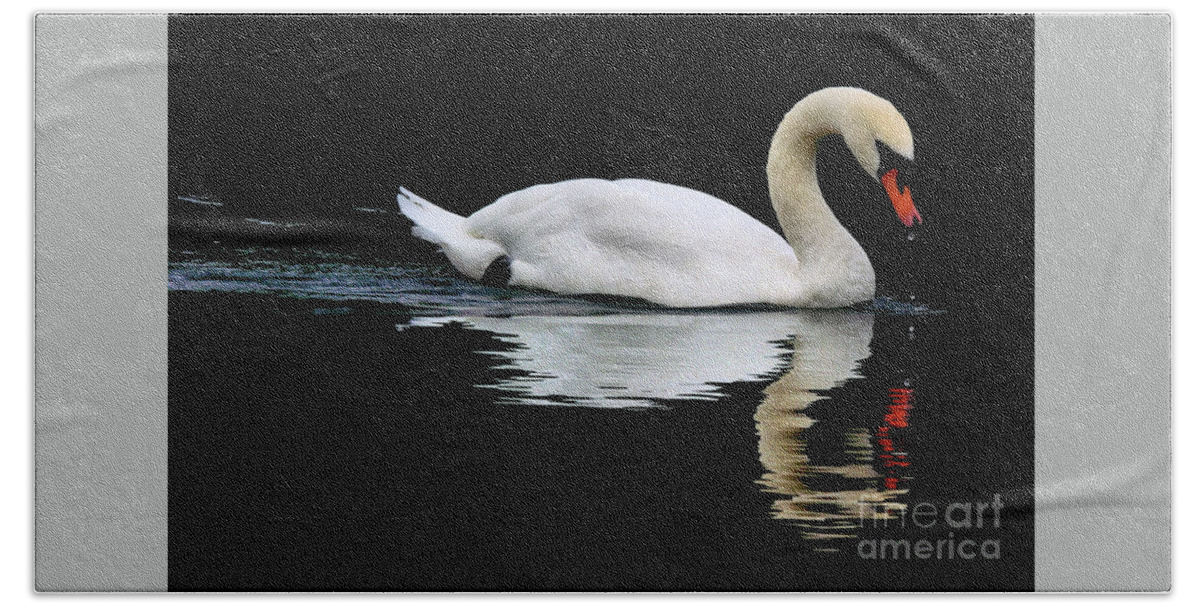 Swan Bath Towel featuring the photograph Mute Swan by Stephen Melia