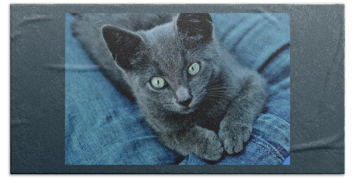Cat Hand Towel featuring the photograph My Blue and Grey Porsche by William Rockwell