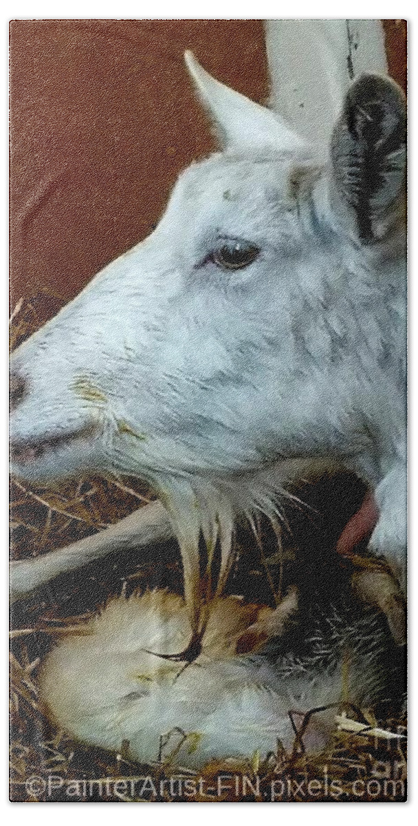 Airy Farm Bath Towel featuring the photograph My Dairy Goat SUGAR by PainterArtist FIN