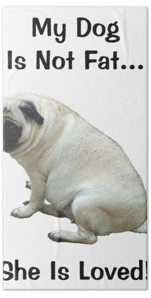fat pugs for sale