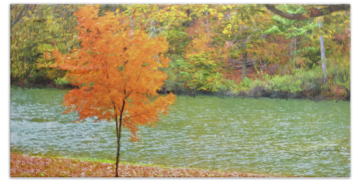 Fall Tree Bath Towel featuring the photograph My First Real Color This Fall Tree by Sandi OReilly