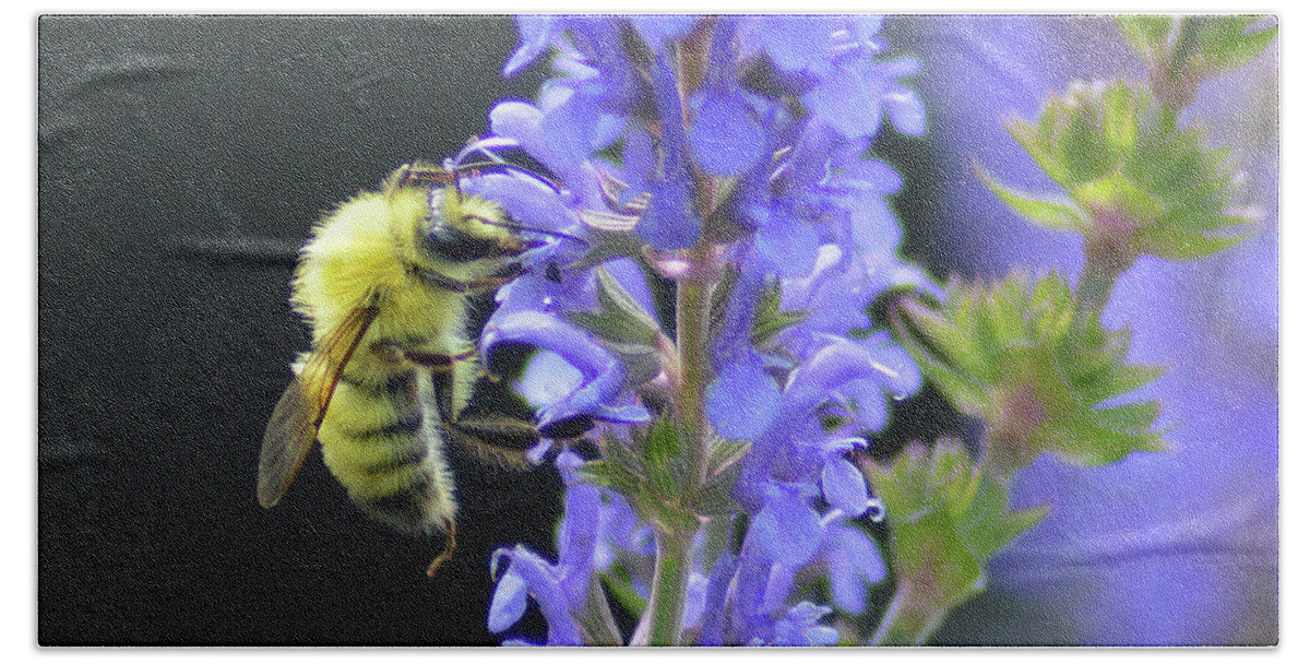 Honey Bee Bath Towel featuring the photograph My Precious by Kathy Kelly