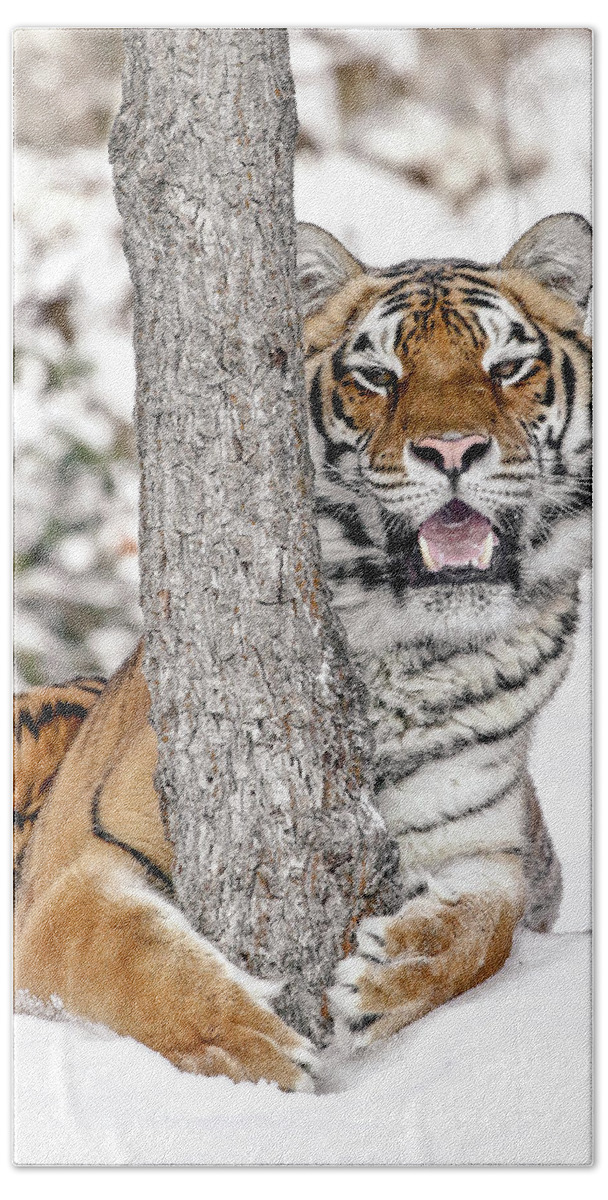 Tiger Bath Towel featuring the photograph MY Tree by Athena Mckinzie