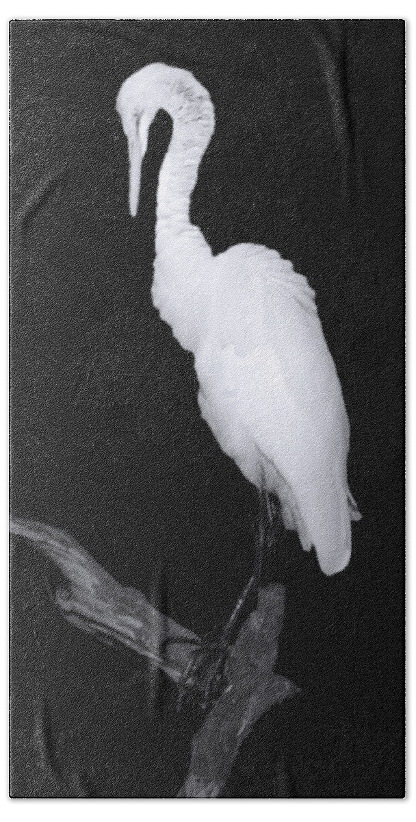 Great White Egret Bath Towel featuring the photograph Mystery of the Great White by Mark Andrew Thomas