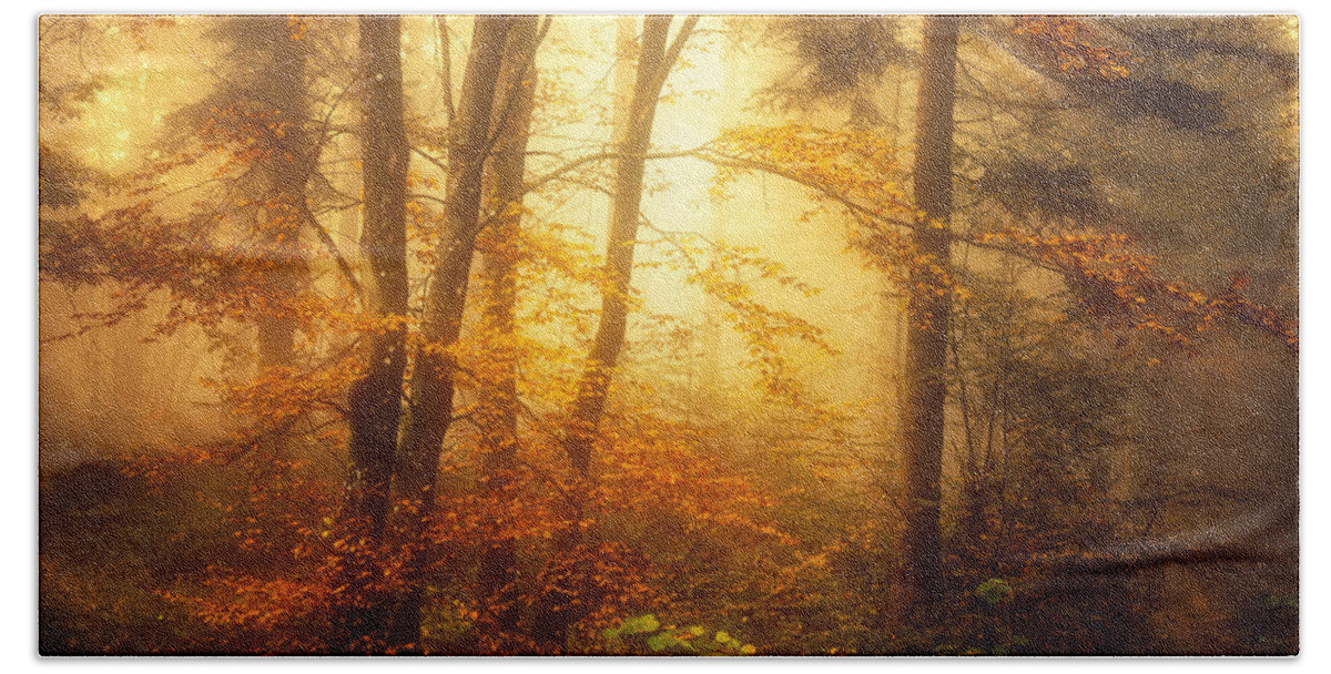Forest Bath Towel featuring the photograph Mystic Fog by Philippe Sainte-Laudy