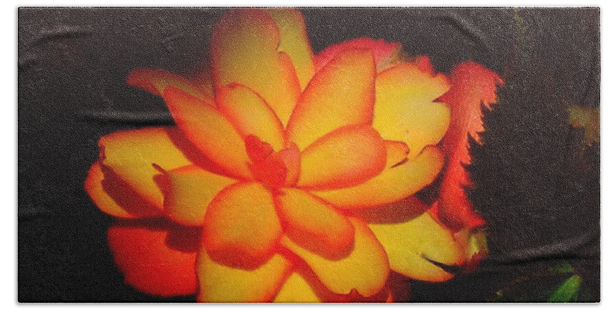 Flower Hand Towel featuring the photograph Mystic by Juergen Weiss