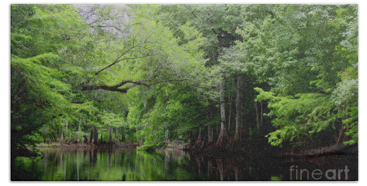 Withlacoochee River Hand Towel featuring the photograph Mystical Withlacoochee River by Barbara Bowen