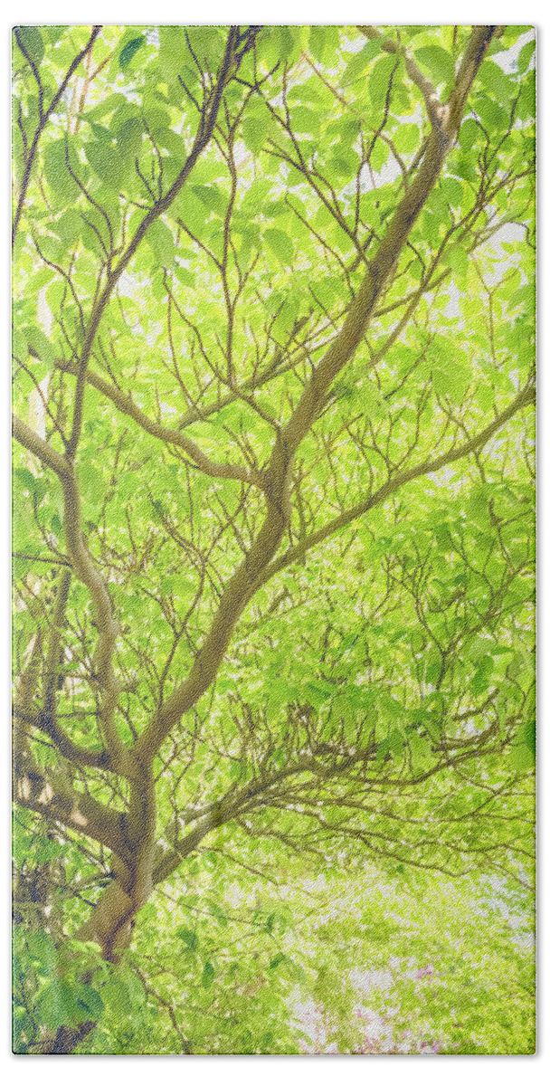 Tree Bath Towel featuring the photograph Nature Branching Out by Debi Bishop