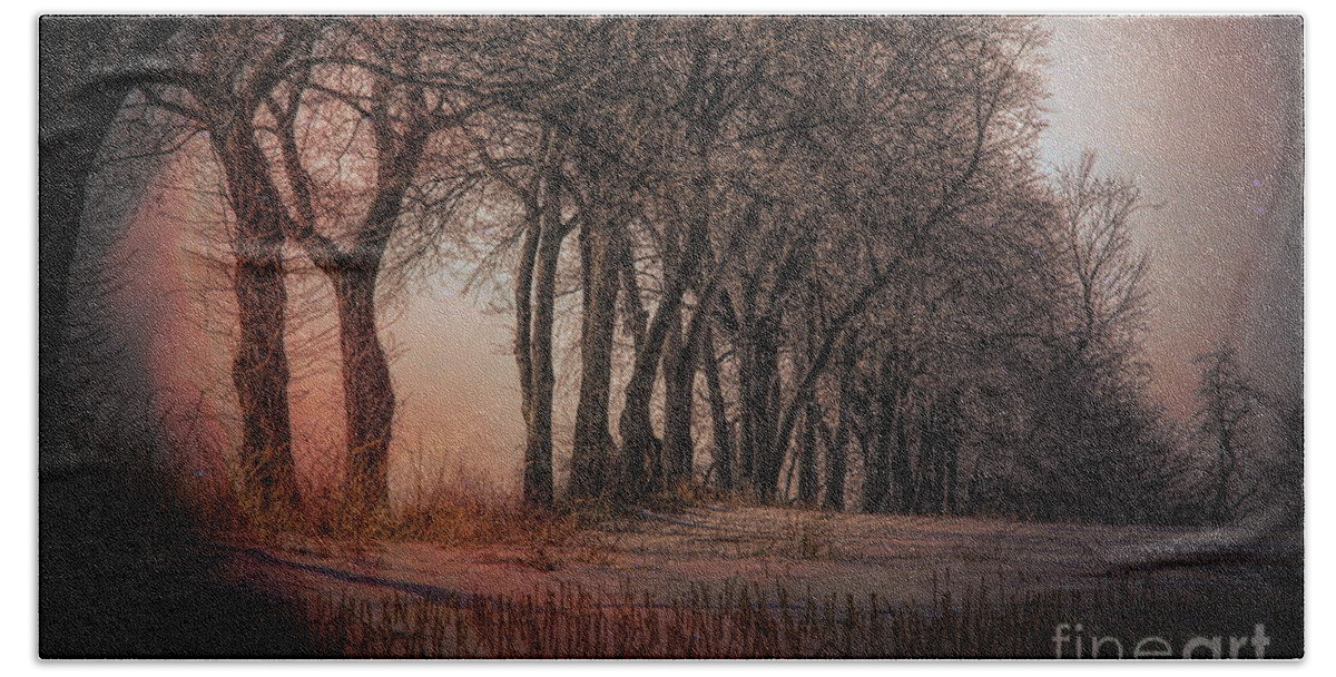 Landscape Hand Towel featuring the photograph Nature Winter Bare Trees Color by Chuck Kuhn