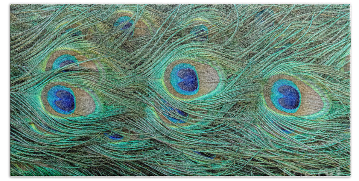 Peacocks Bath Towel featuring the photograph Nature's Details by Marilyn Cornwell