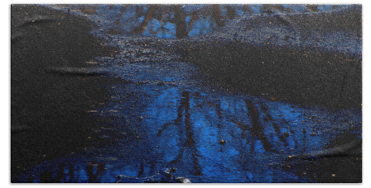 Blue Bath Sheet featuring the photograph Natures Looking Glass by September Stone