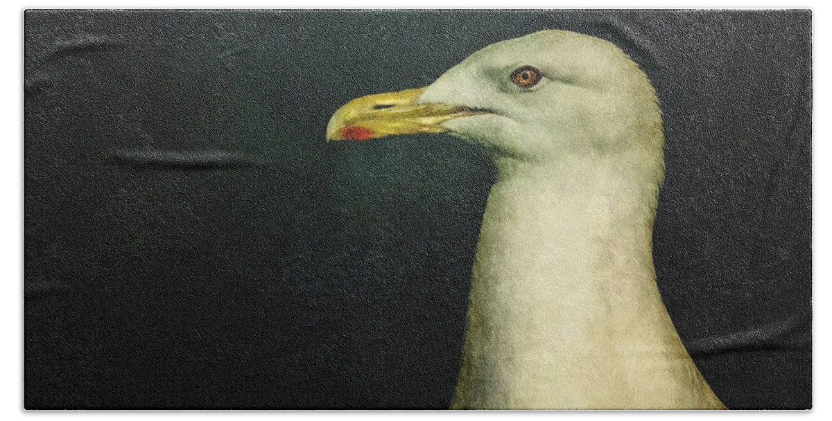 Seagull Hand Towel featuring the photograph Naujaq by Priska Wettstein