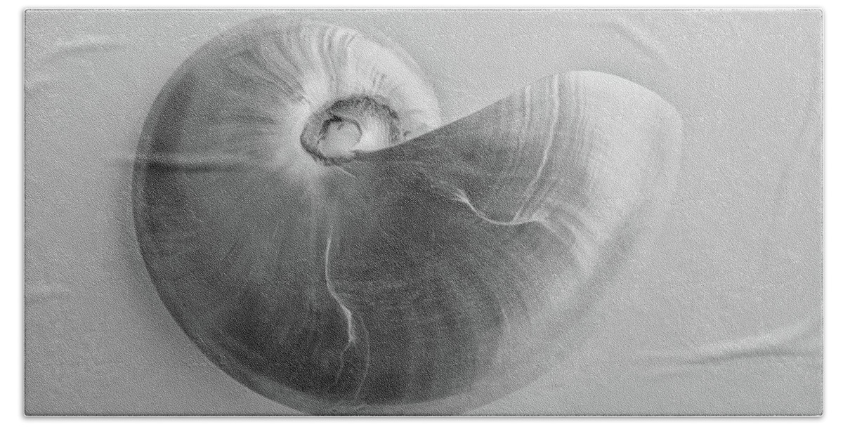 Nautilus Bath Towel featuring the photograph Nautilus by Louise Lindsay