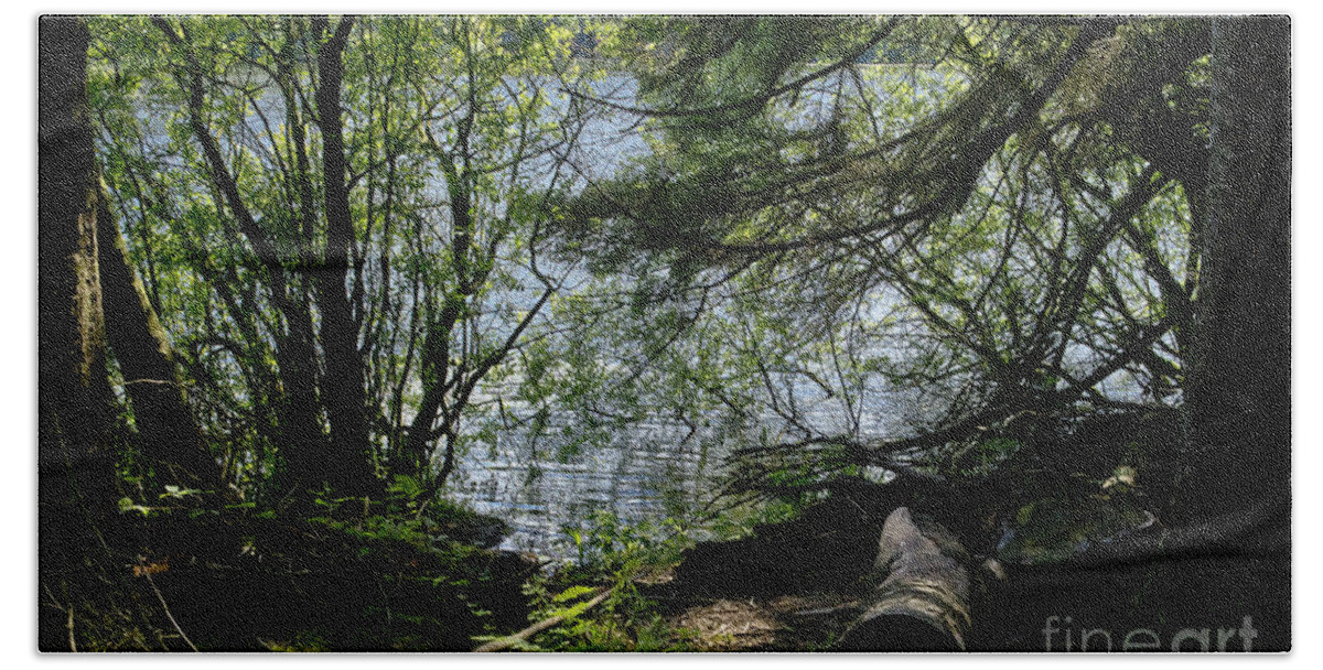Beecraigs Bath Towel featuring the photograph Near water of the forest lake. by Elena Perelman