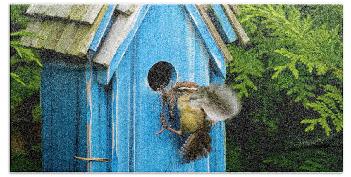 Bird Bath Towel featuring the photograph Nest Building by David Kay