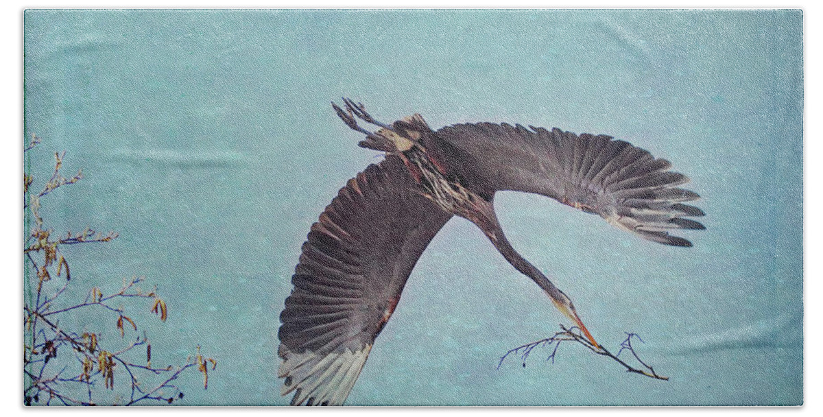 Heron Hand Towel featuring the photograph Nesting Heron in Flight by Peggy Collins