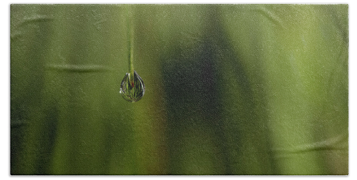 Water Drop Bath Towel featuring the photograph Never Let Go by Mike Eingle