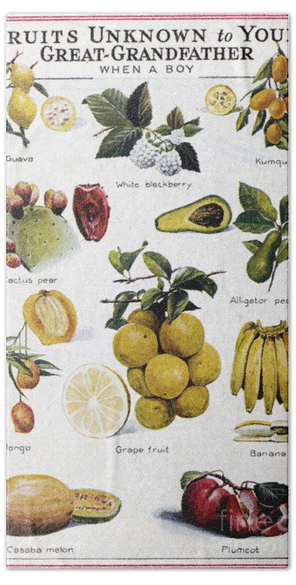 1950 Hand Towel featuring the photograph NEW FRUITS, c1950s by Granger