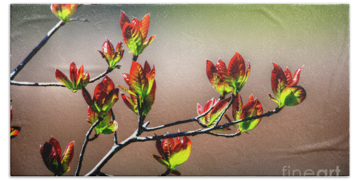 New Growth Bath Towel featuring the photograph New Growth by Paul Mashburn