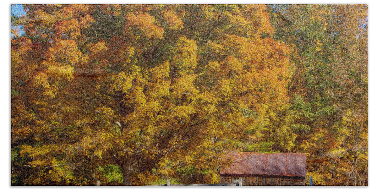 Autumn Bath Towel featuring the photograph New hampshire barn under fall foliage by Jeff Folger