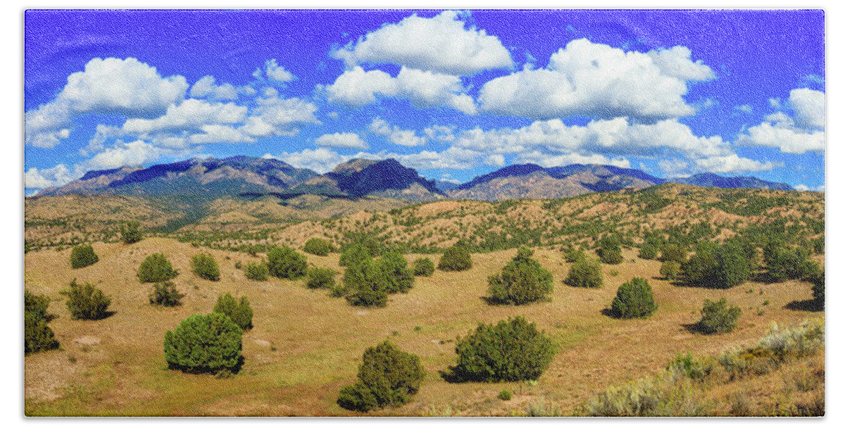 Gila National Forest Bath Towel featuring the photograph New Mexico Beauty by Raul Rodriguez