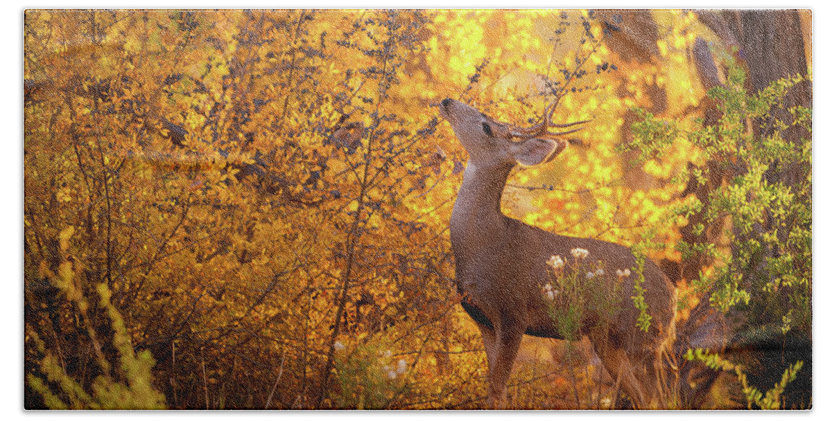 New Mexico Privet Bath Towel featuring the photograph New Mexico Buck Browsing by Jeff Phillippi