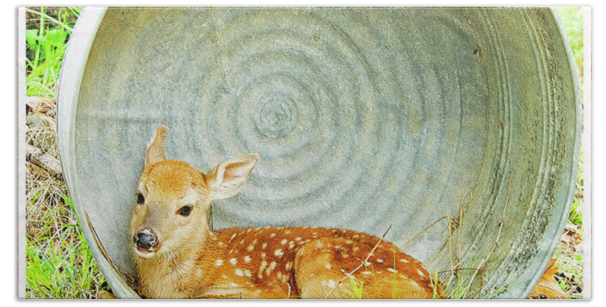 Fawn Bath Towel featuring the photograph Newborn Fawn finds Shelter in an Old Washtub by A Macarthur Gurmankin
