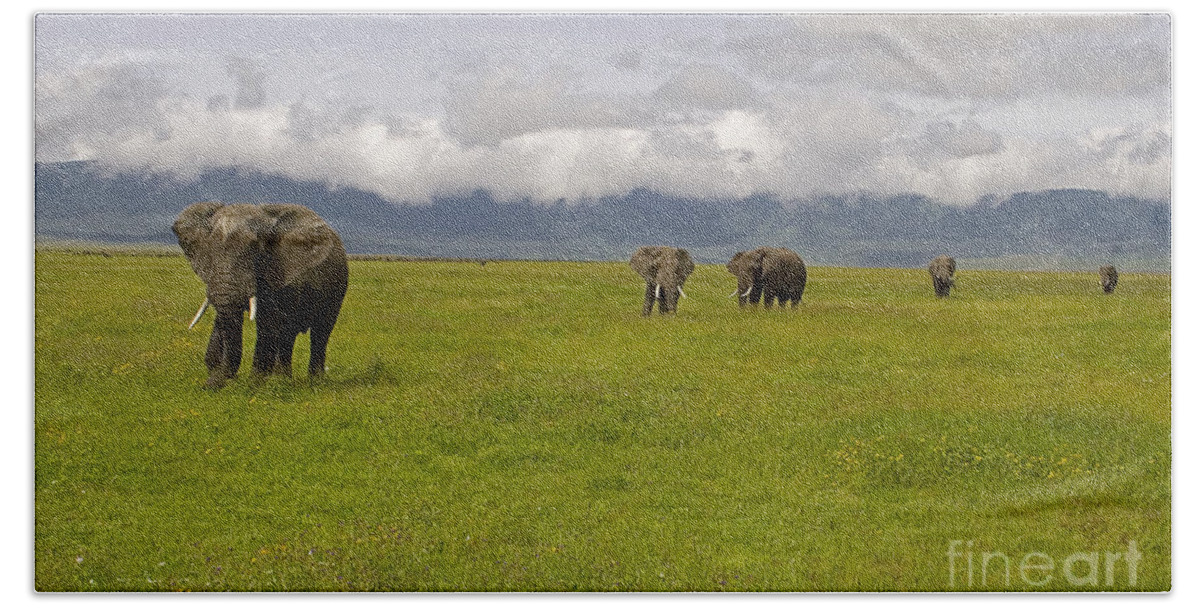 Elephantidae Loxodonta Africana Bath Towel featuring the photograph Ngorongoro Elephants-Signed-#0135 by J L Woody Wooden