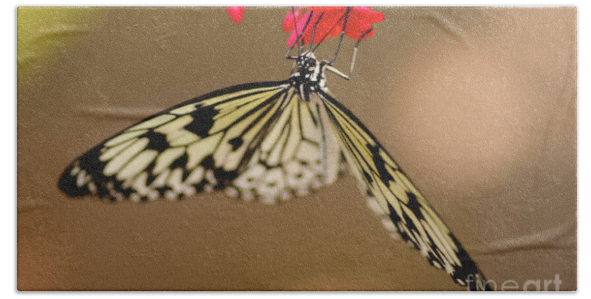Butterfly Bath Towel featuring the photograph Nick's Butterfly Macro by Nick Boren