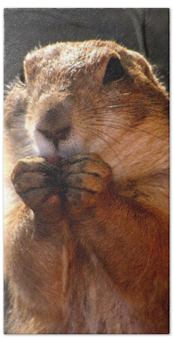 Prairie Dogs Hand Towel featuring the photograph Snacking Prairie Dog by Lori Lafargue