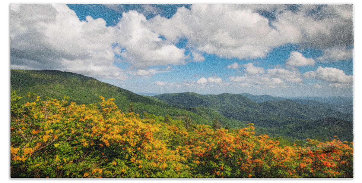 North Carolina Hand Towel featuring the photograph North Carolina Roan Mountain Flame Azalea Flowers Appalachian Trail by Dave Allen