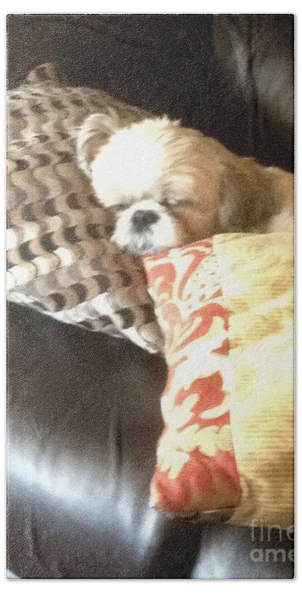 Shih Tzu Hand Towel featuring the photograph Not much for pillow talk.... by Lisa Koyle
