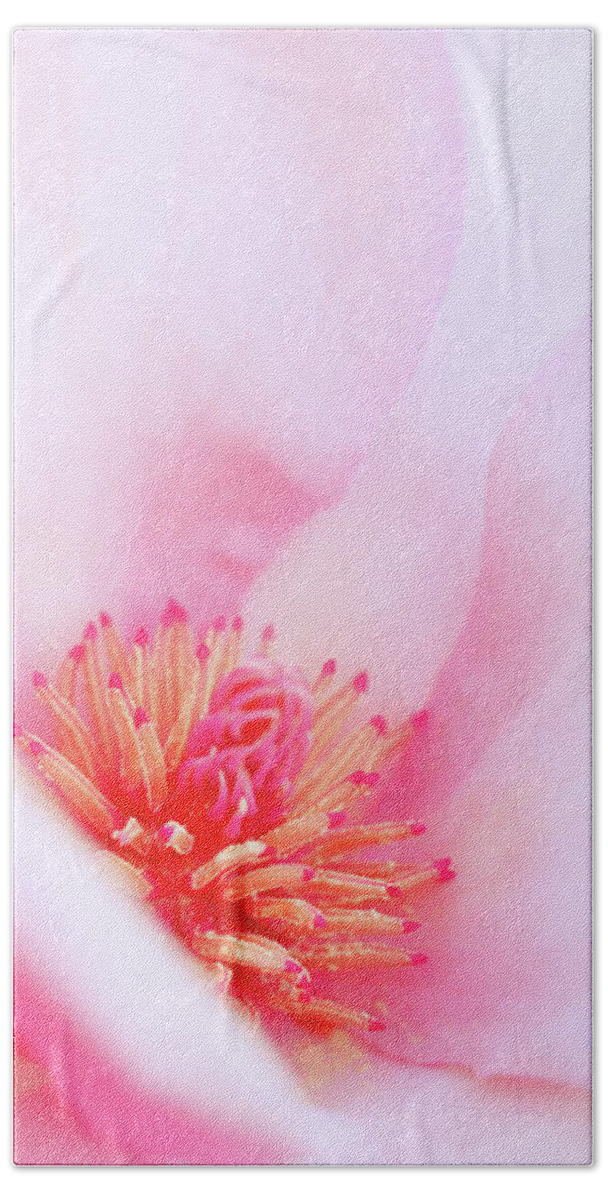 Flower Hand Towel featuring the photograph Nuance by Iryna Goodall