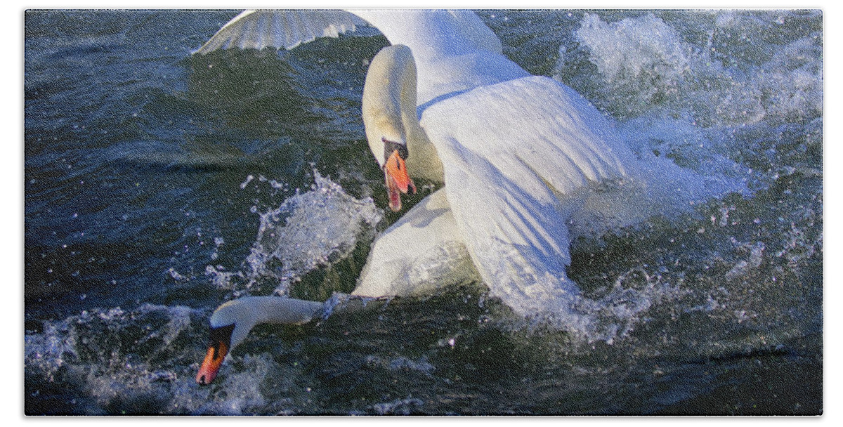 Swans Hand Towel featuring the photograph Nuptial Dance 2 by Tatiana Travelways