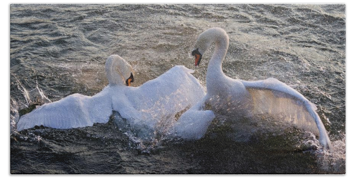 Swans Hand Towel featuring the photograph Nuptial dance by Tatiana Travelways