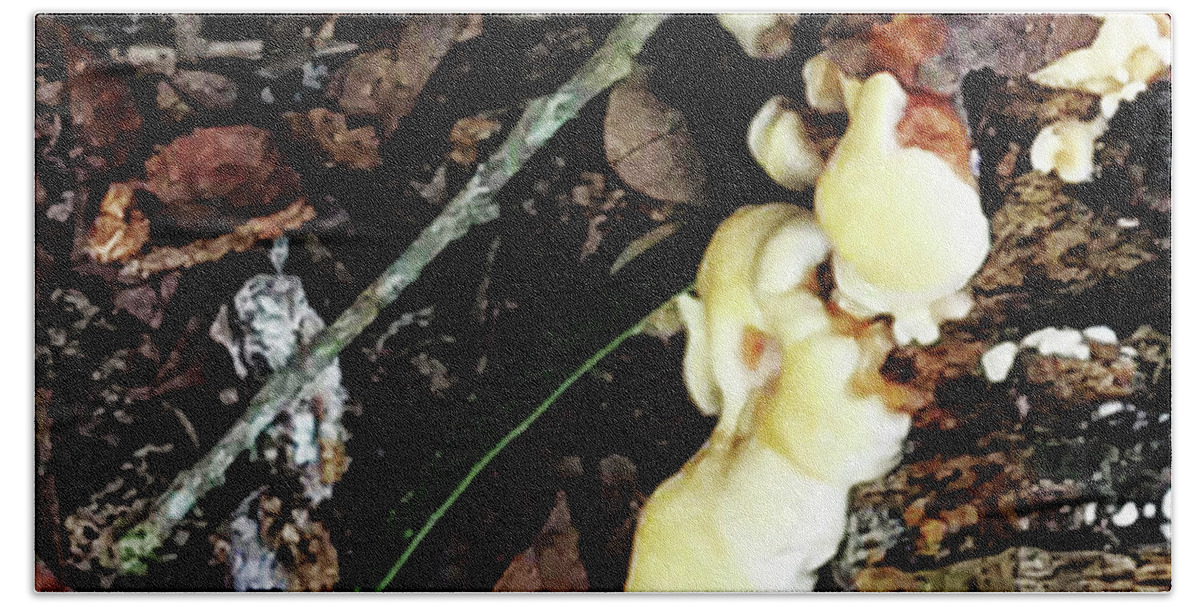 Fungus Bath Towel featuring the photograph Oak Tree Fungus by Gina O'Brien