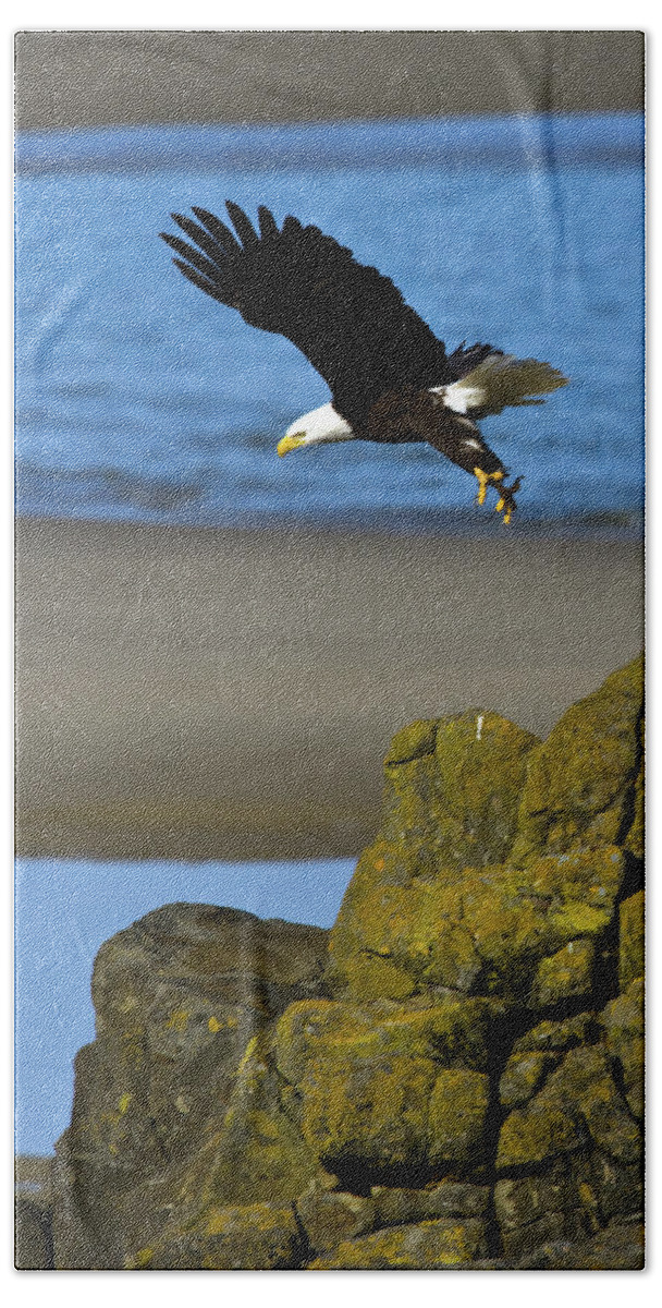 Bald Eagle Bath Towel featuring the photograph Ocean Eagle by Randall Ingalls