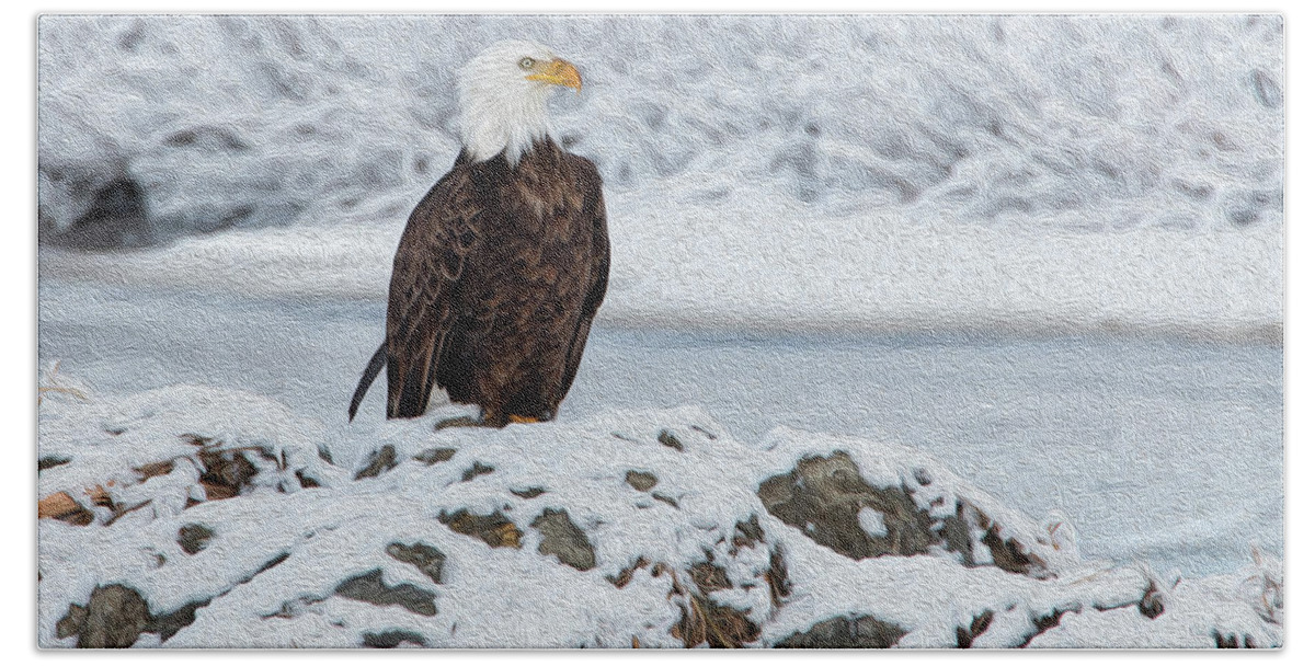 Wild Bath Towel featuring the photograph Oil painted Bald Eagle by Celine Pollard