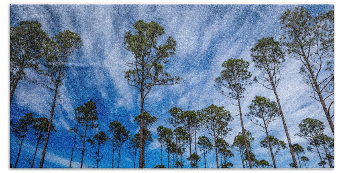 Art Hand Towel featuring the photograph Okefenokee Sky by Gary Migues