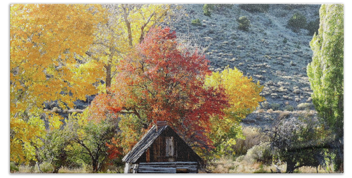 Old Cabin. Fall Leaves. Birthtown Of Butch Cassidy Hand Towel featuring the photograph . Butch Cassidy's Home Place by Patricia Haynes