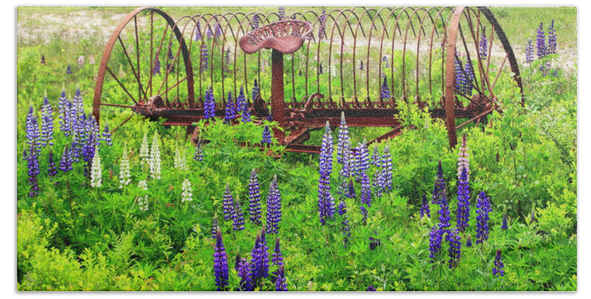 Old Hand Towel featuring the photograph Old Hay Rake And Lupines by Gary Corbett