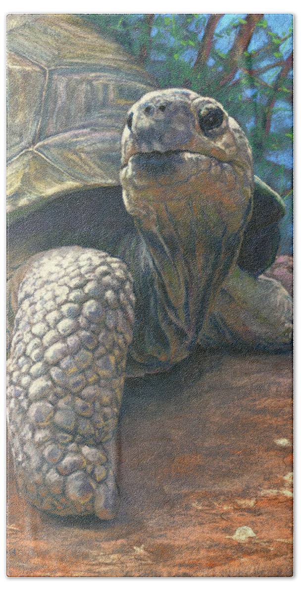 Animals Bath Sheet featuring the pastel Old Man Tortoise by Rita Kirkman