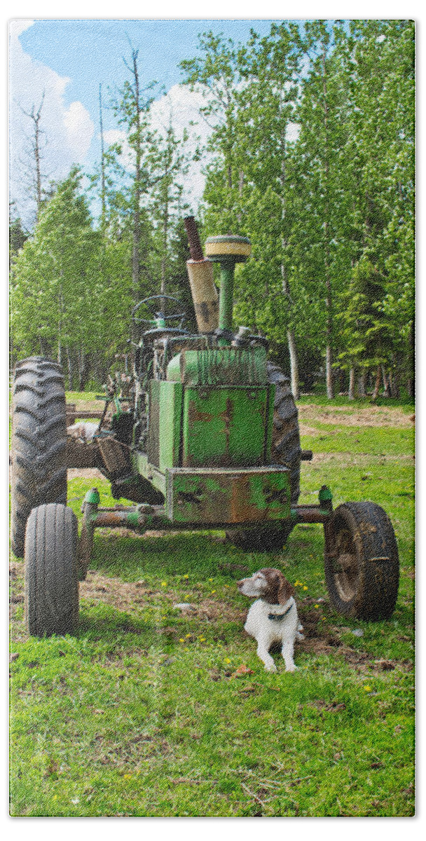 Tractor Hand Towel featuring the photograph Old Tractor, Old Dog by Cathy Mahnke